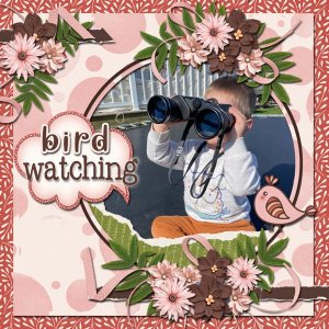 Bird Watching