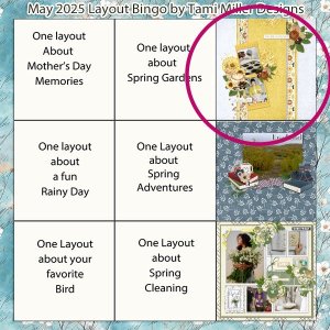tmd_maybingo2025.jpg