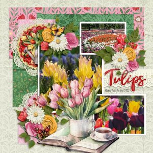 Tulips - May 2022.jpg