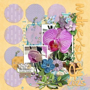 05-11-25-orchidMFish_ShabbyShapes1_03-copy.jpg