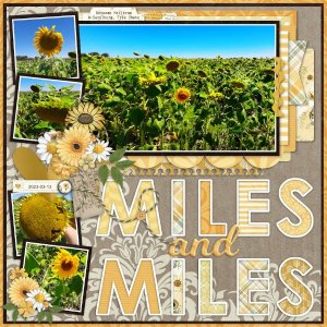2023-03-13_MilesAndMiles