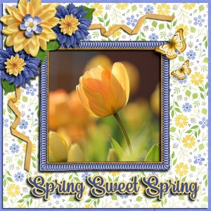 Spring Sweet Spring