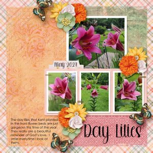 Day Lilies