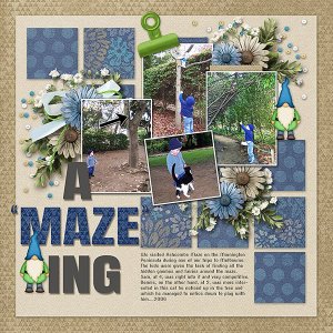 A-MAZE-ING.webjmb.jpg
