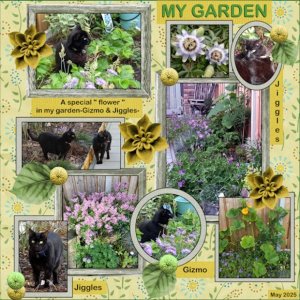 -3 - May 2025 -Bucket List challenge-My garden.jpg