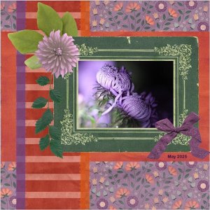 -5 - May 2025 Color Challenge  - Orange, Purple.jpg