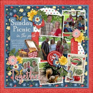 Sunday Picnic in the Park