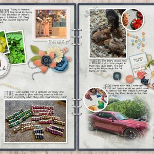 2025-Week-20.jpg