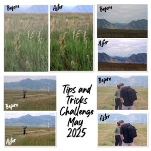 Tips and Tricks - adjustment layer before and after