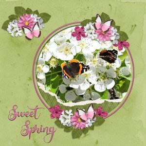 Sweet Spring