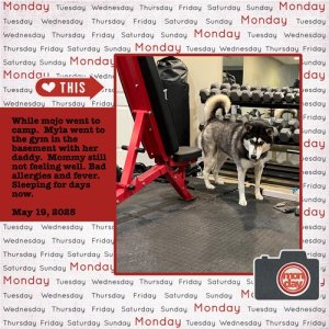 2025-05-19-myla-gym.jpg