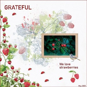 -11 - May 2025 In A Word Challenge-Strawberries.jpg