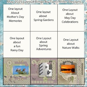 -15 - May 2025 Bingo Challenge-My Bingo card..jpg
