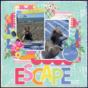 Beach Escape