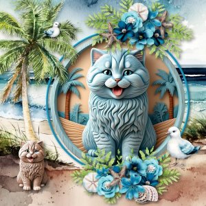 Beach Cat