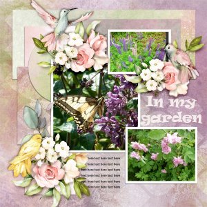 In-my-garden.jpg