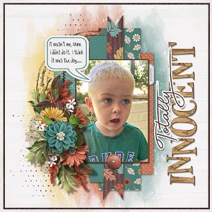 2025_03_Totally-Innocent-copy.webjmb.jpg