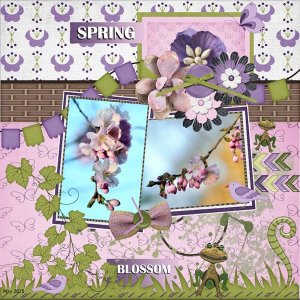 -19- May2025 Perfectly Paired Challenge -Spring blossom.jpg