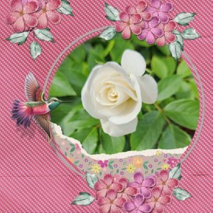 Blooming-Beauty