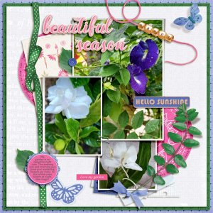 My-garden-today-webv.jpg