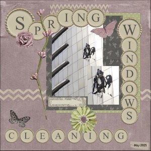 -15 - May 2025 Bingo Challenge-Spring cleaning windows.jpg