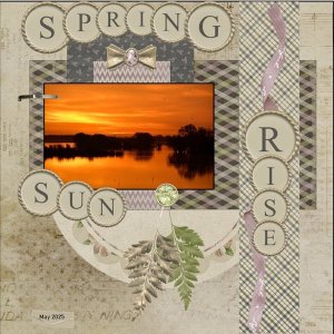 15 - May 2025 Bingo Challenge-Spring-Sunrise-.jpg