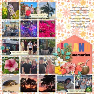 Island Memories