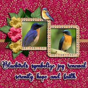 Bluebirds