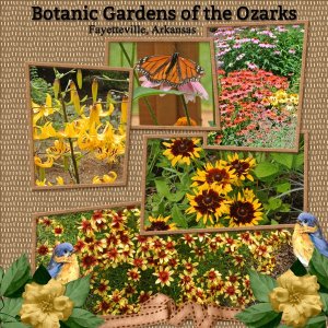 Botanic Garden of the Ozarks