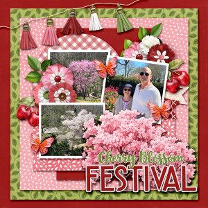 Cherry Blossom Festival