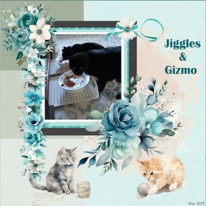 22 - May 18-24, 2025 project challenge- Our cats Jiggles & Gizmo.jpg