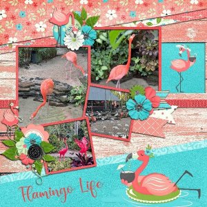 Flamingo Life.jpg
