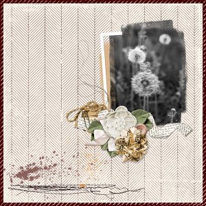 Dandelions