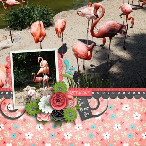Flamingo Life