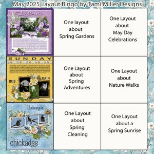 tmd_maybingo2025 1.jpg