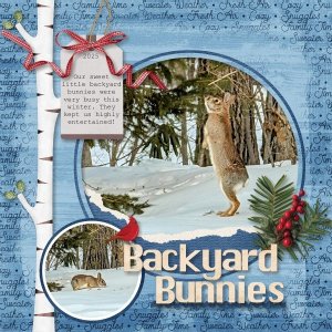 Backyard Bunnies 2025.jpg