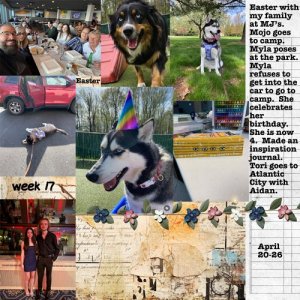 2025-week17.jpg