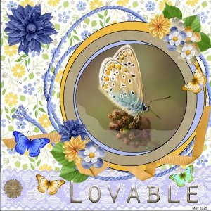 27e-May 2025 Template Challenge -1 -Lovable.jpg