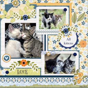 28e-May 2025 Template 2 Challenge -All Kitties.jpg