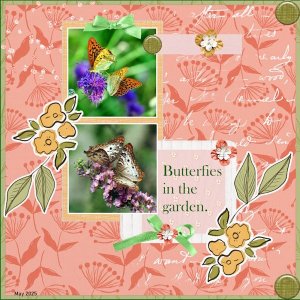 29e-May 2025 Template 3 Challenge -Butterflies..jpg