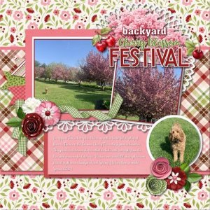 backyard Cherry Blossom Festival.jpg