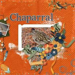 Chaparral