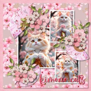 kimono cats