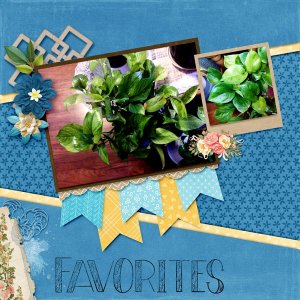 Favorites