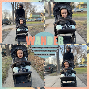 Wander