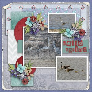 202505-Template-Challenge-#2.jpg