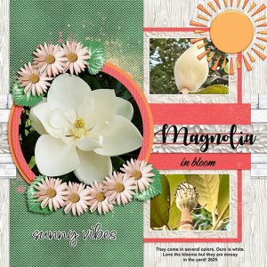 magnolia-SCD-Summer-TP3-copy.jpg
