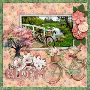In-bloom.jpg