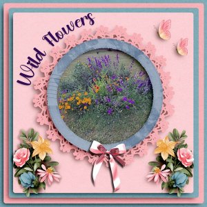 Wild Flowers