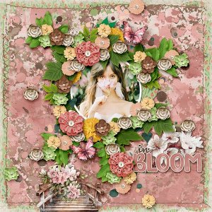 In Bloom